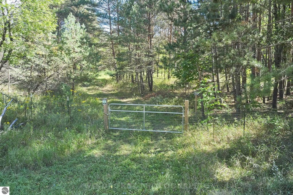 Picture 18