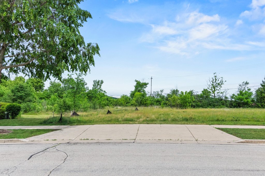 Picture 13