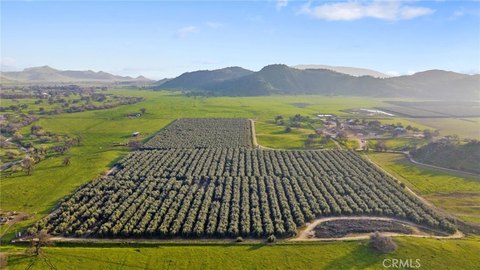 Income-Producing Ranch in Woodlake, CA