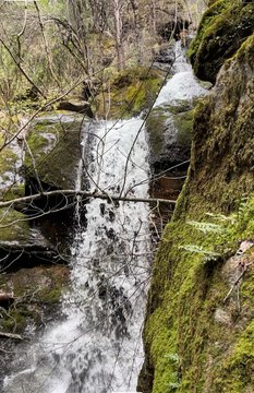 Waterfront Land with Trout Stream