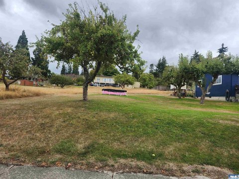LOTS-LAND, Port Angeles, WA
