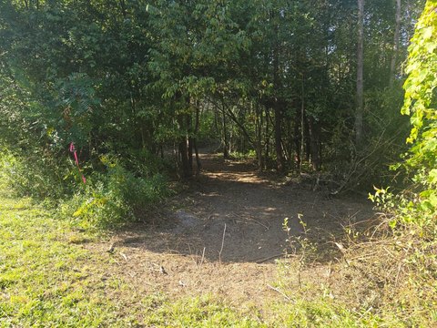 Recreational Land with Build Potential