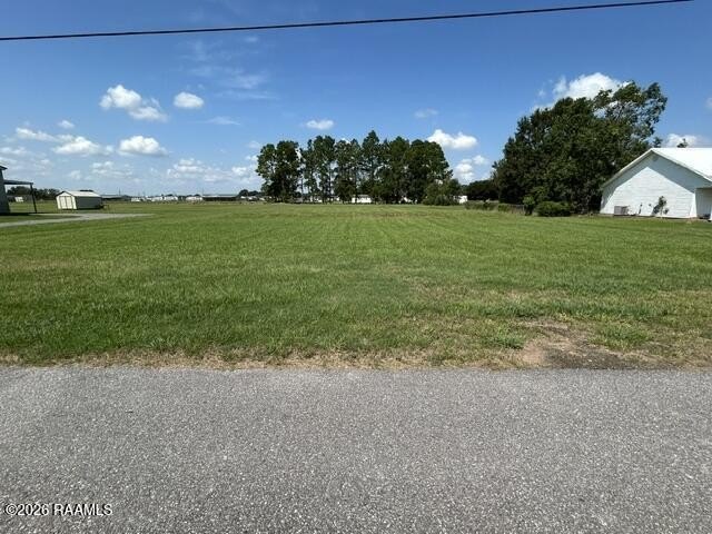Picture 3