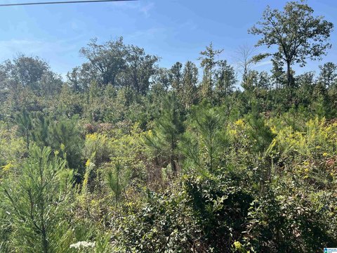 Multi-Parcels Hunting Land