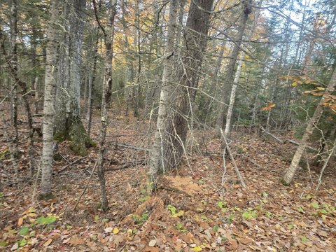 Land, Swanville, ME