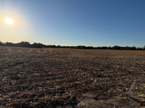 Land, Belleville, IL