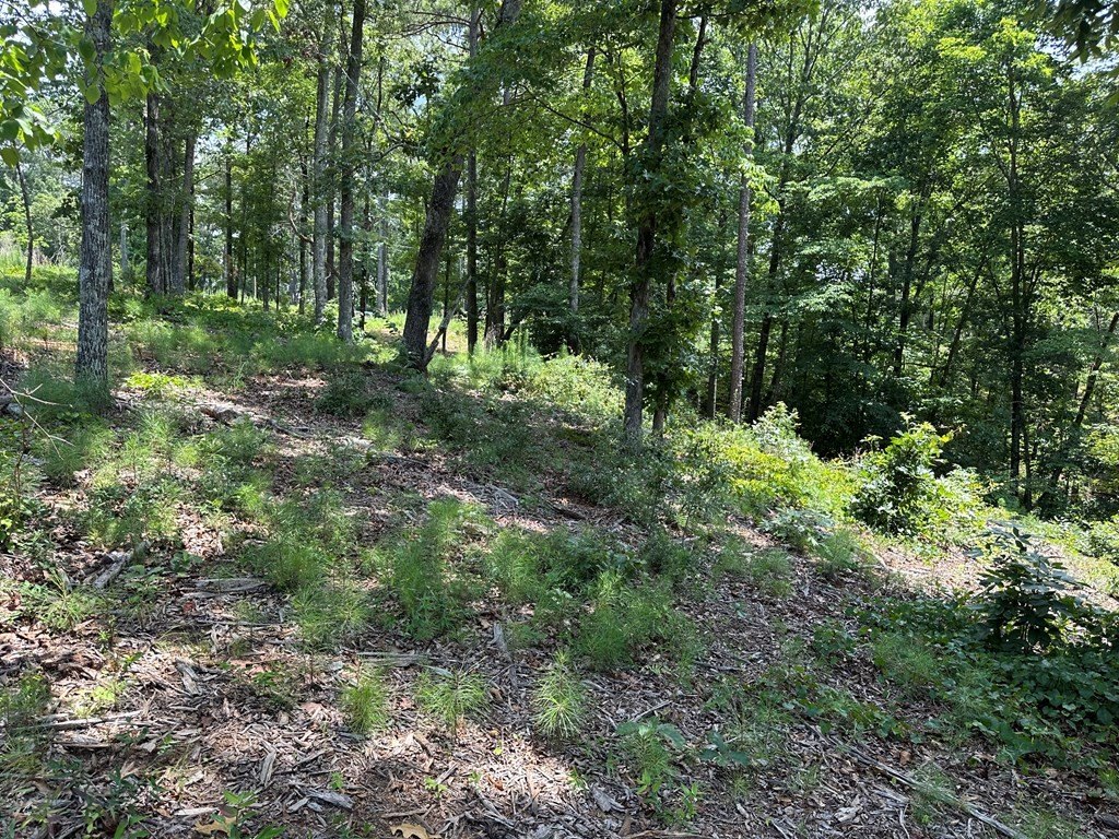 Picture 11