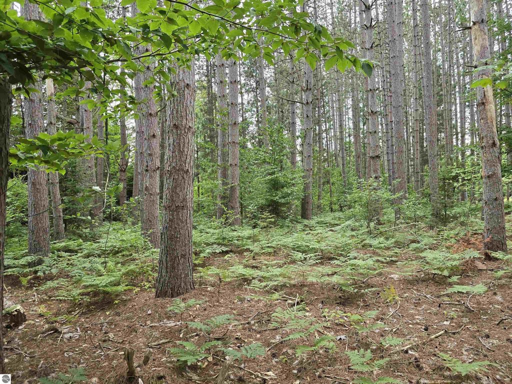 Picture 12