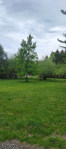 Picture 3