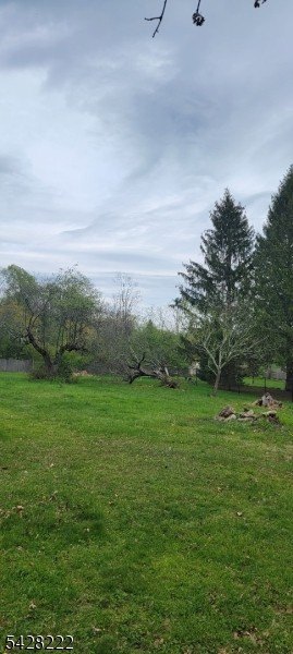 Picture 4