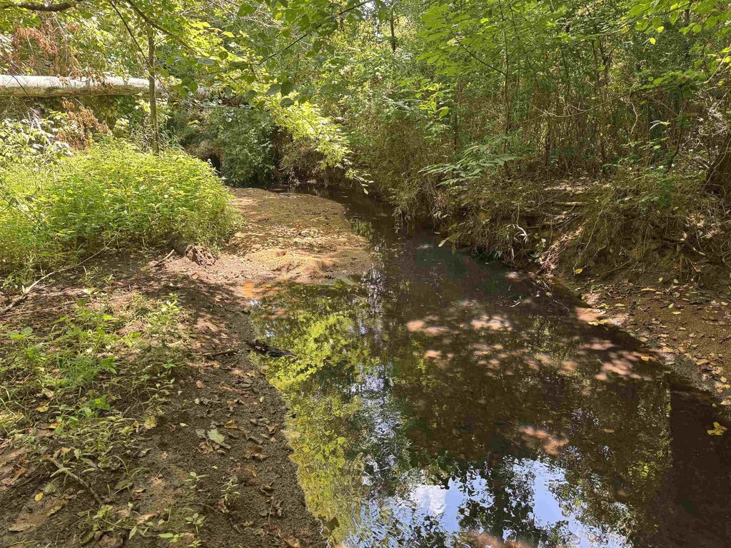 Picture 29