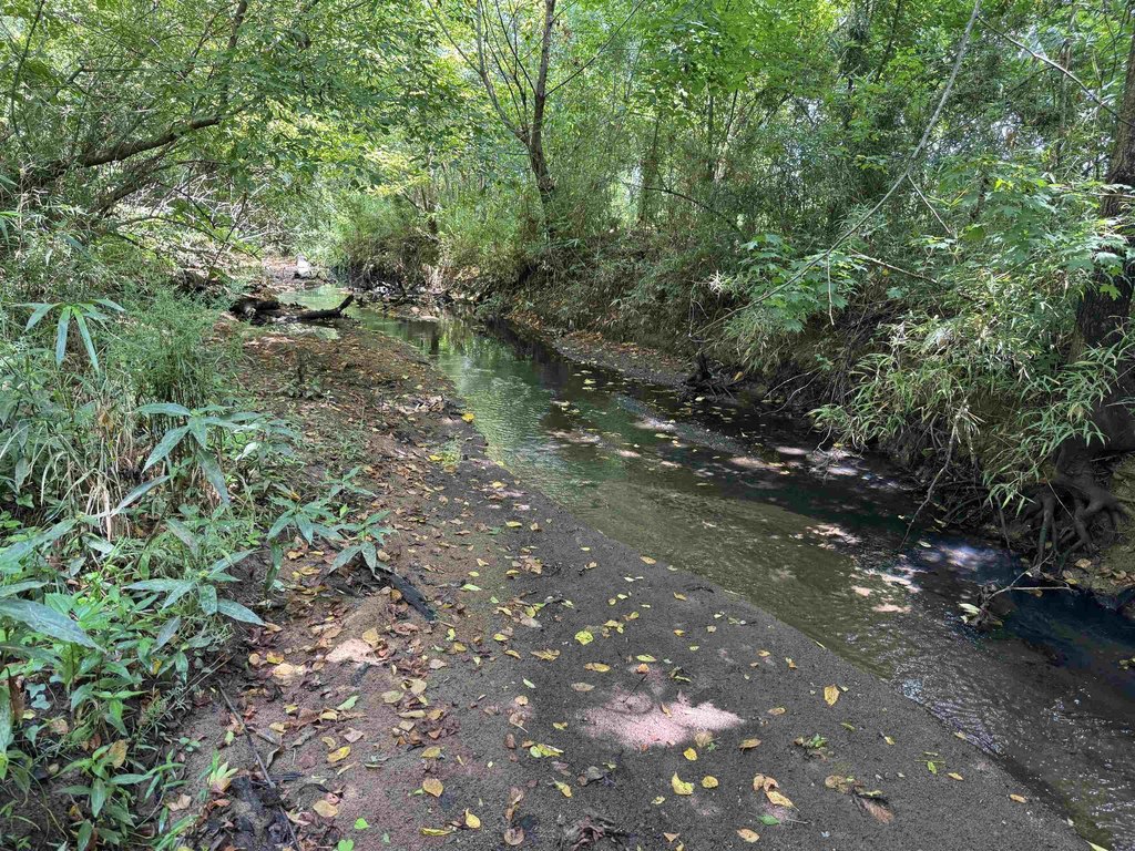 Picture 27