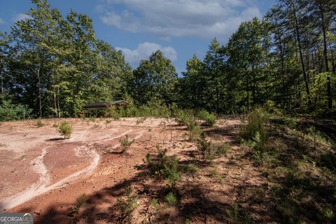 Land, Robbinsville, NC