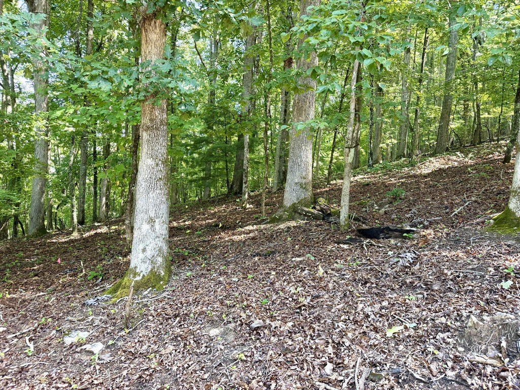 Picture 14