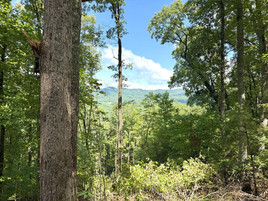 Picture 22