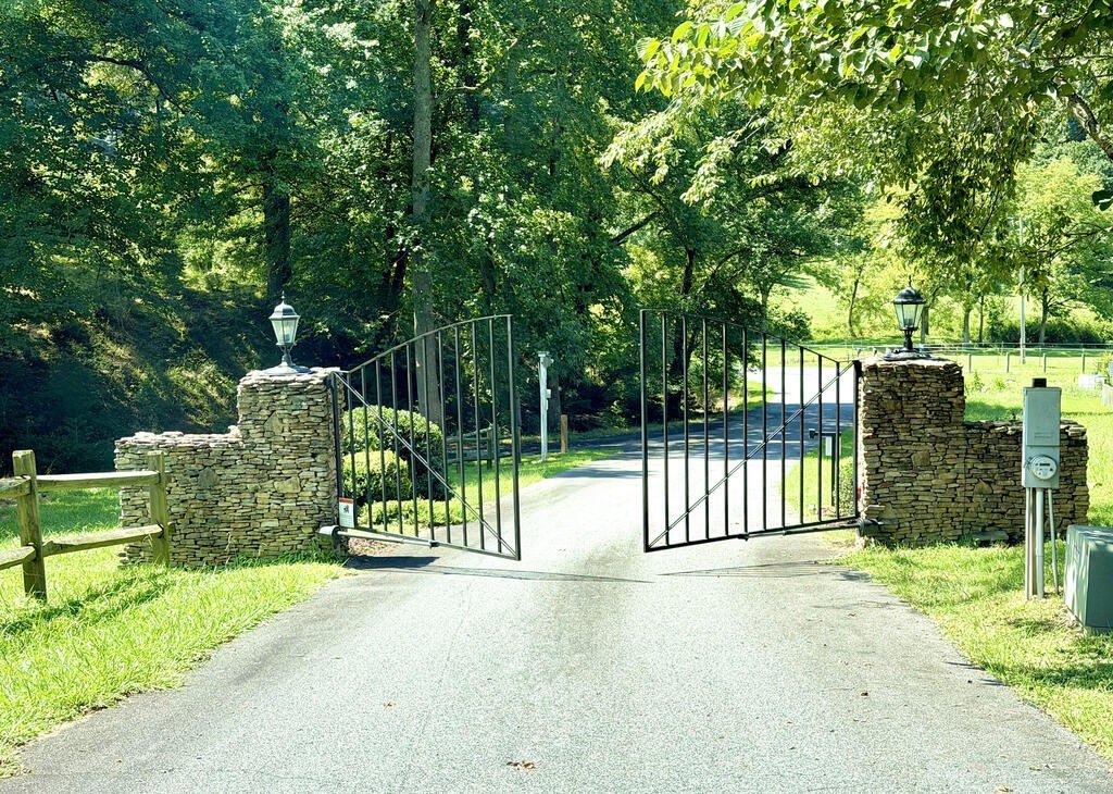 Picture 23