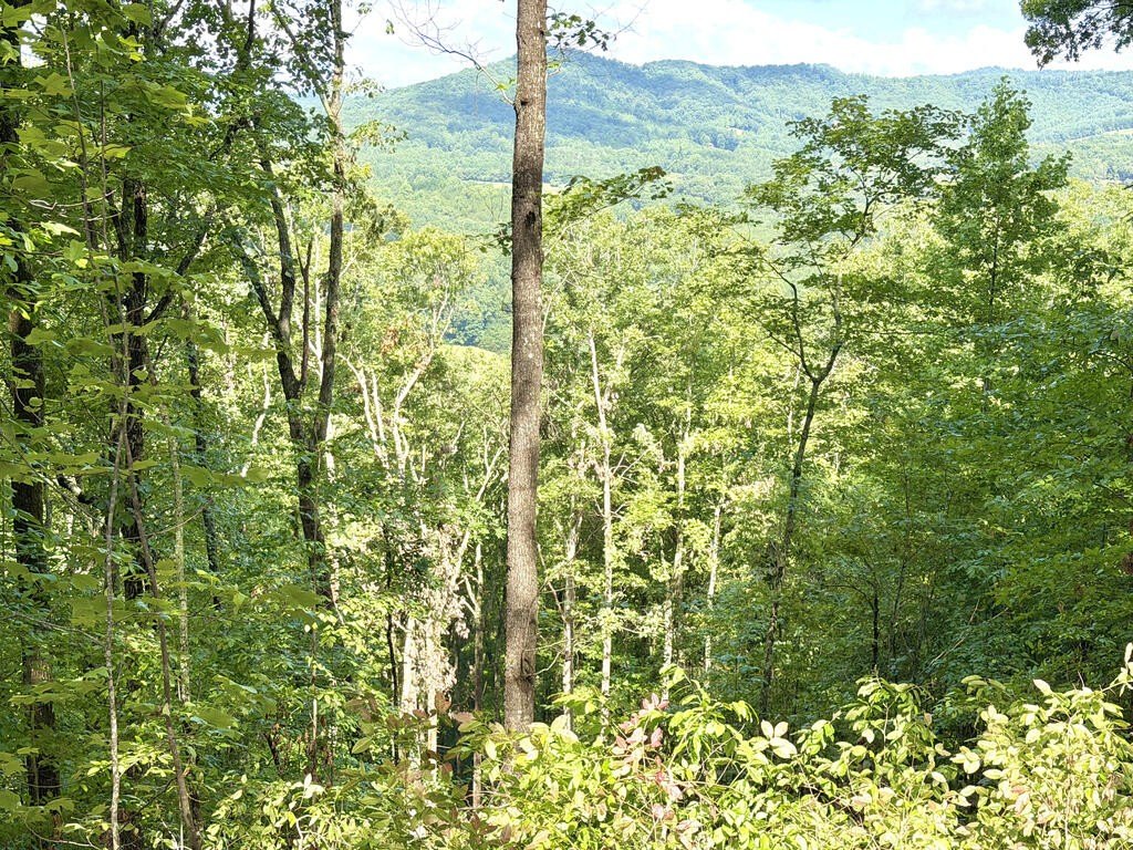 Picture 13