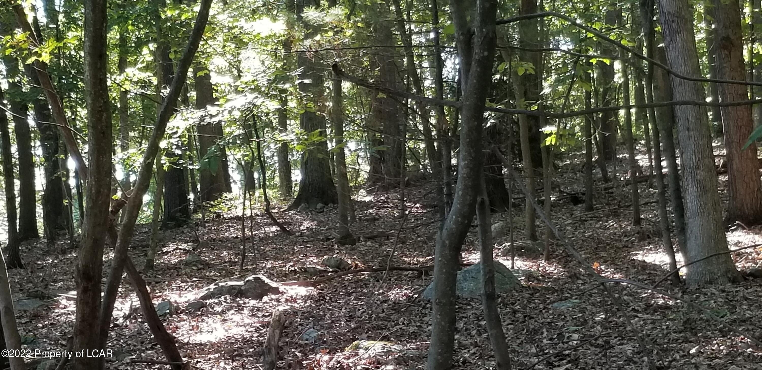 Land Near Nuangola Lake