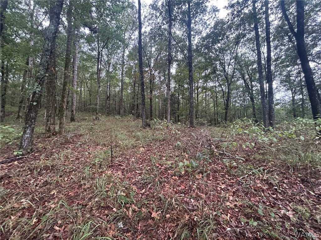Picture 3
