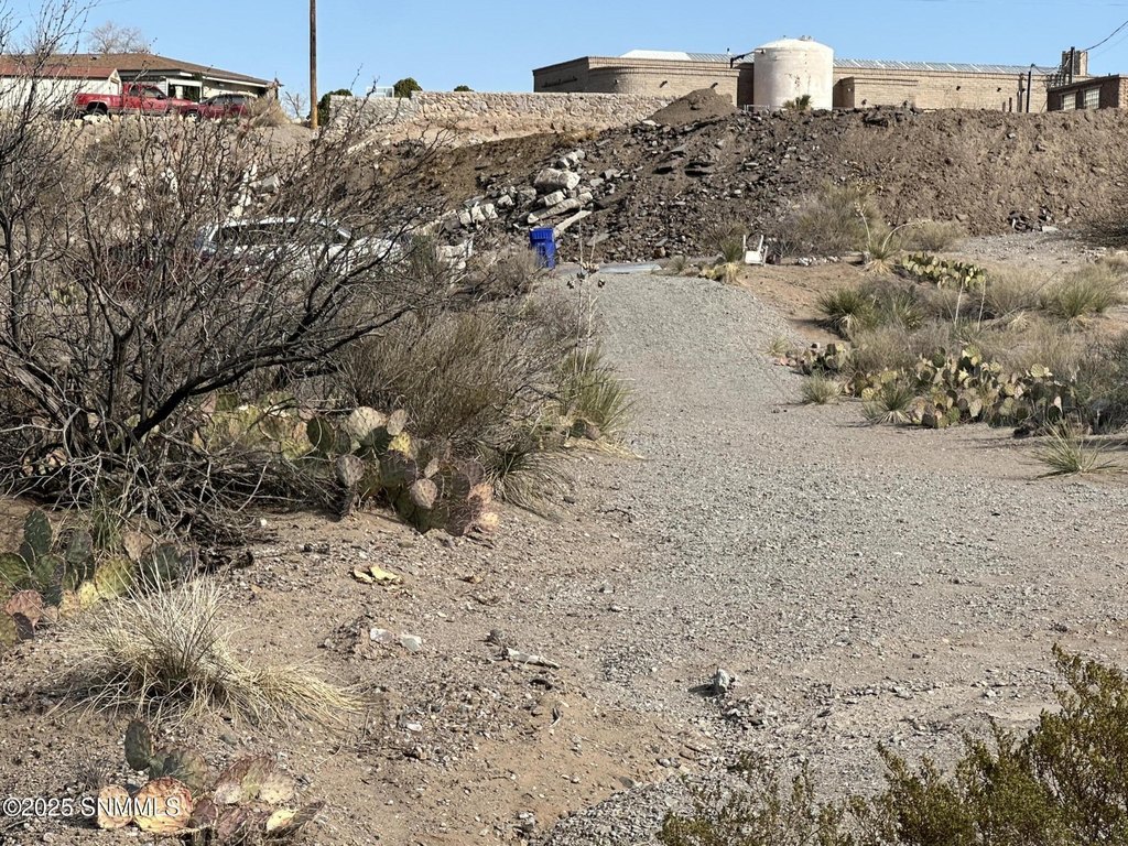 Picture 29