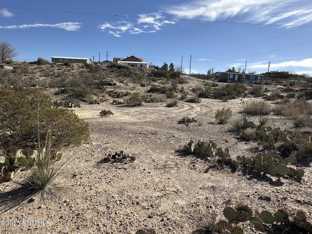 Picture 21