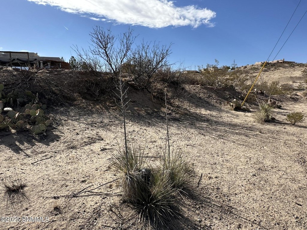 Picture 22