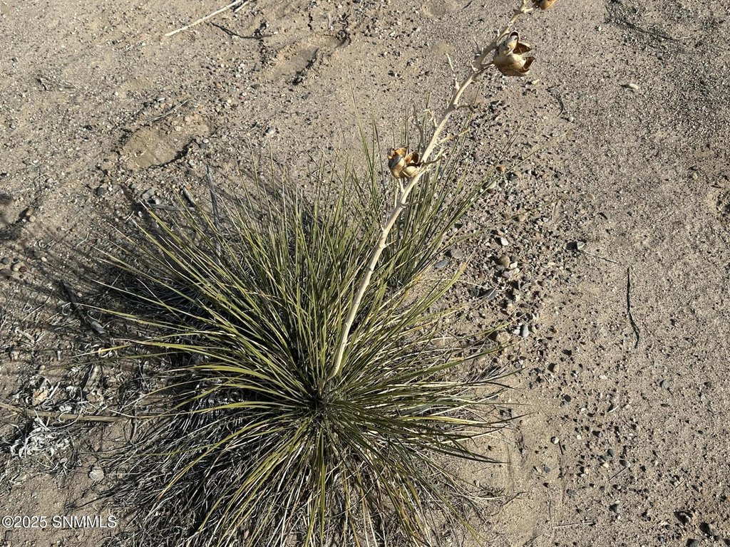 Picture 26