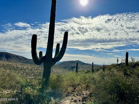 5-Acre Desert Retreat Land