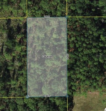 LAND - POLK CITY, FL