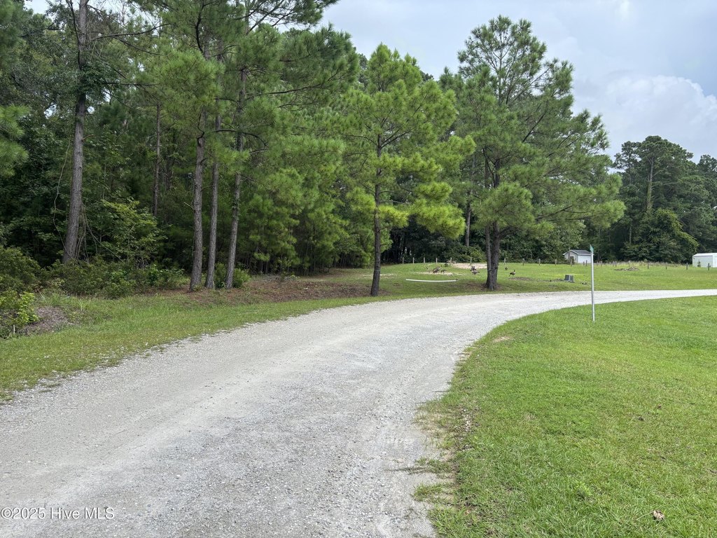Picture 3