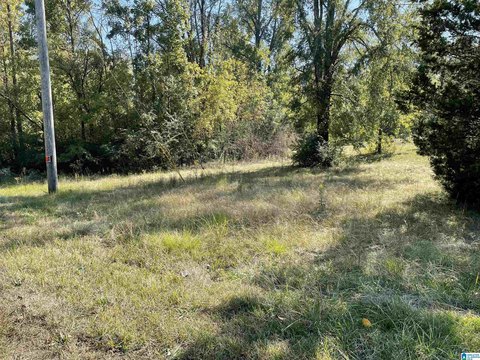 Unrestricted Corner Lot in Lincoln