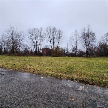 Detroit Land for Infill Development