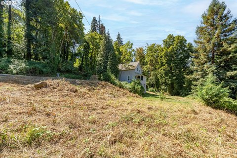 Oregon City Land with Views