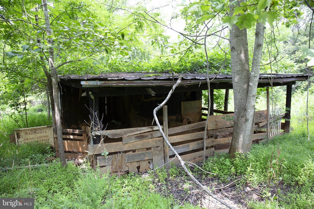 Picture 2