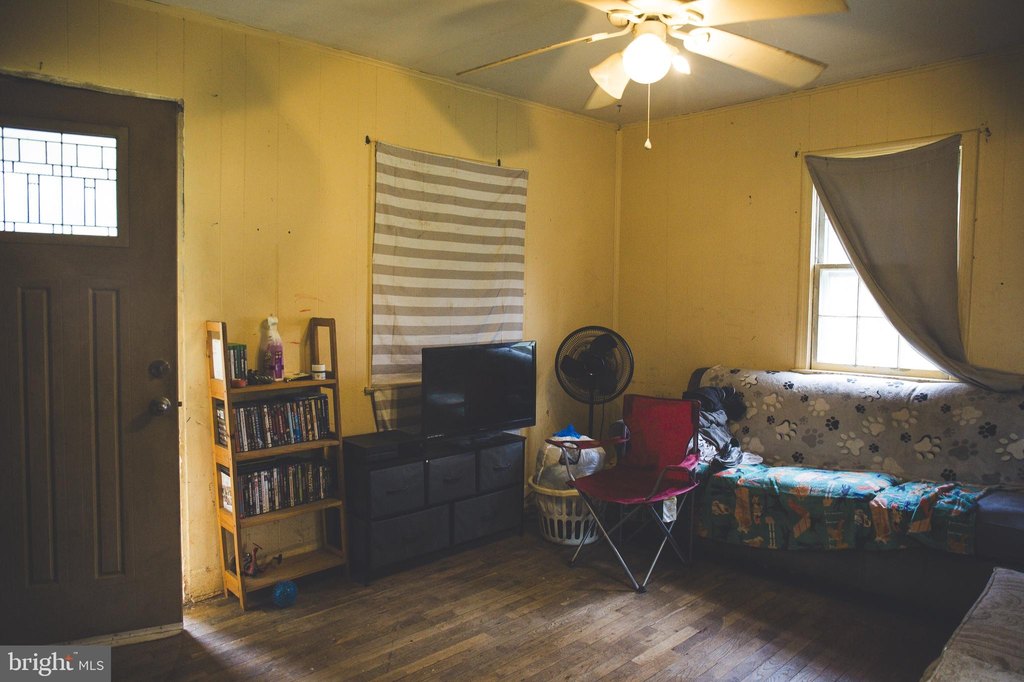 Picture 8