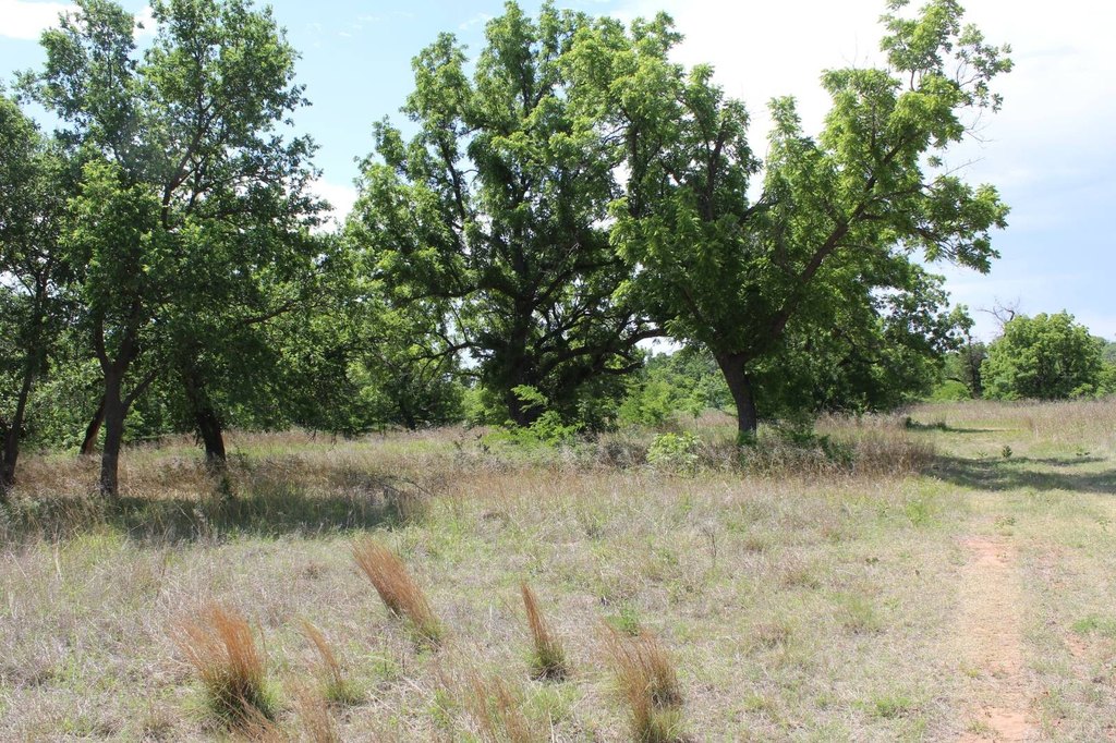 Picture 6