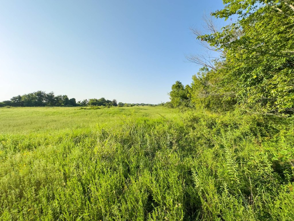 Picture 21