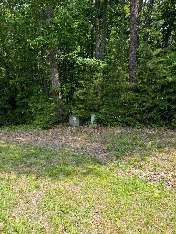 Picture 17