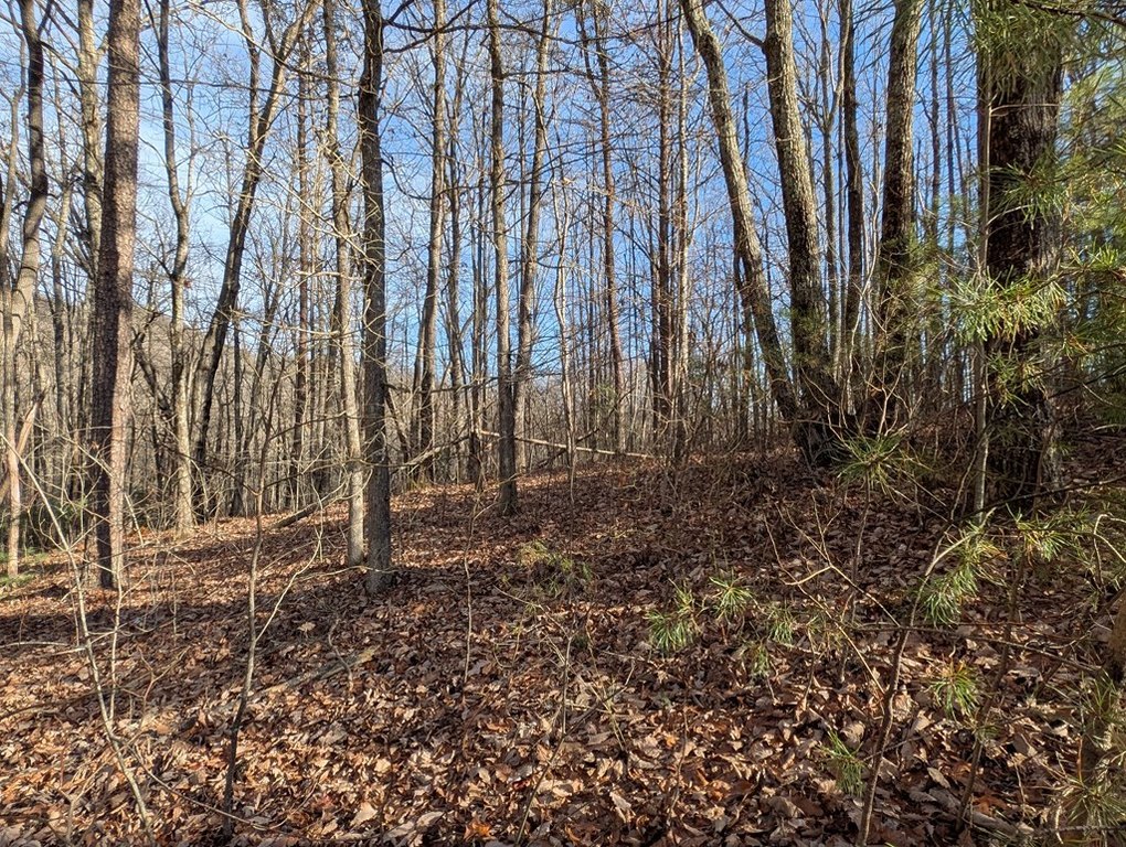 Picture 15