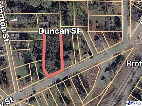 Residential Lot in Latta, SC