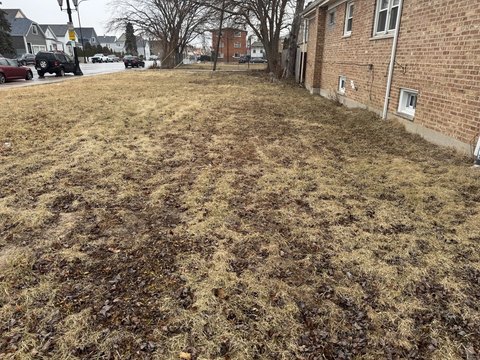 Cicero Land Near Shops