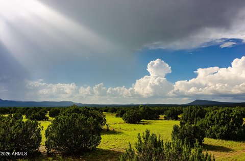Land, Seligman, AZ