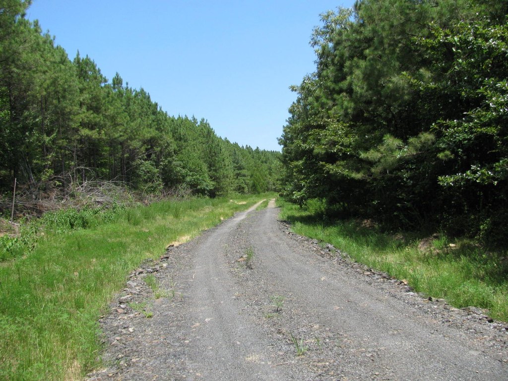 Picture 5
