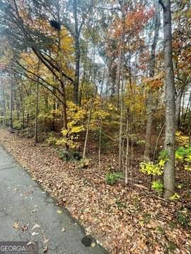 Land in Lake Club Community