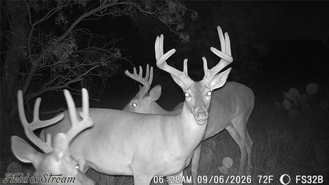 Recreational Land with Hunting Habitat
