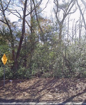 Residential Home Lot