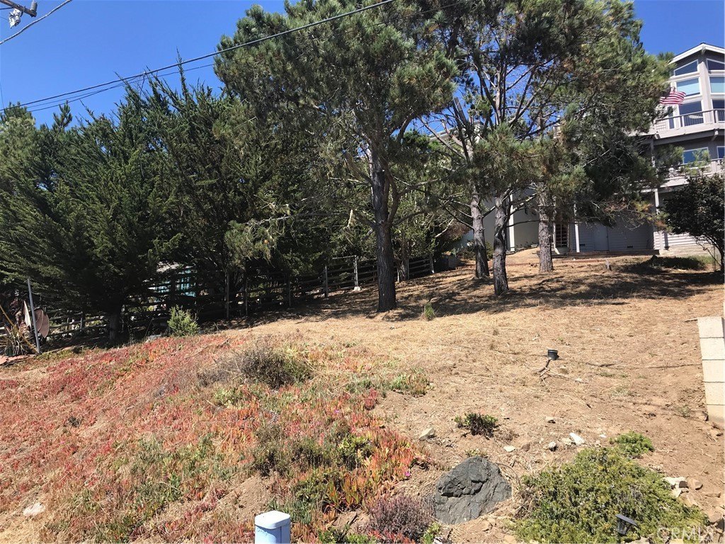 Picture 4