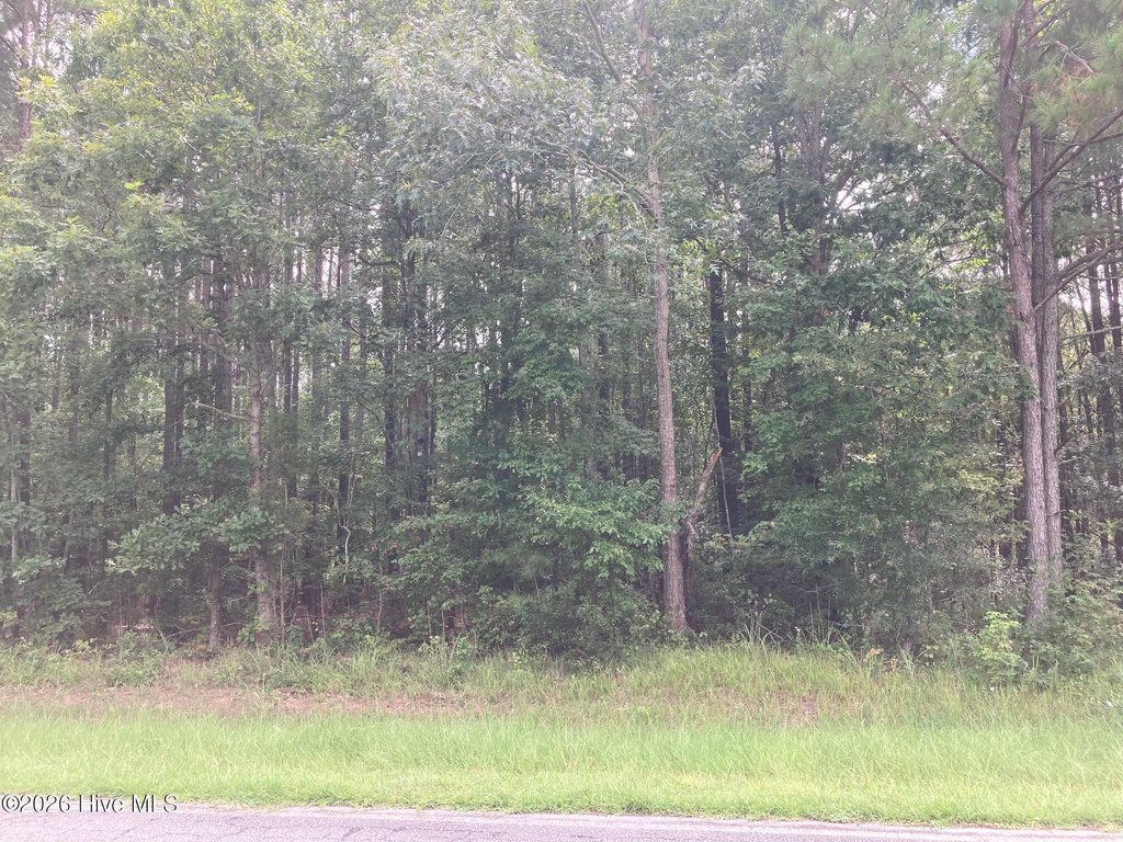 Picture 4