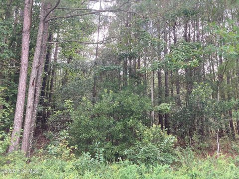 LAND - Bath, NC