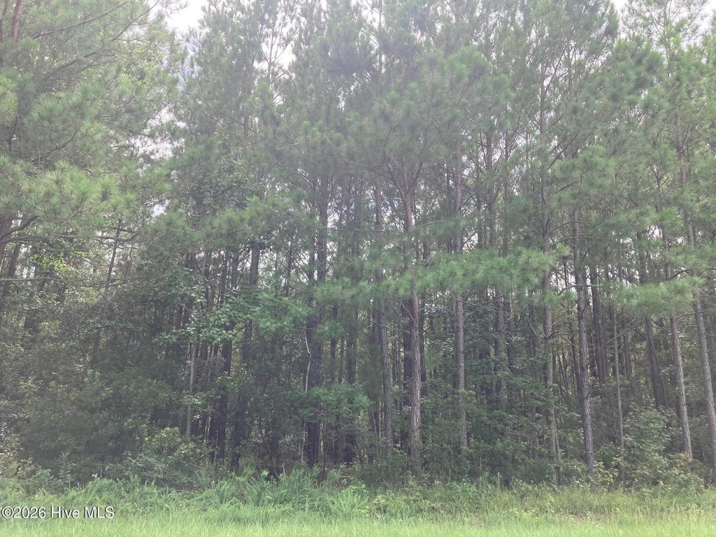 Picture 5